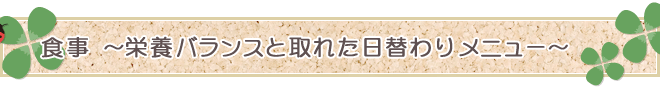 食事～栄養バランスと取れた日替わりメニュー～